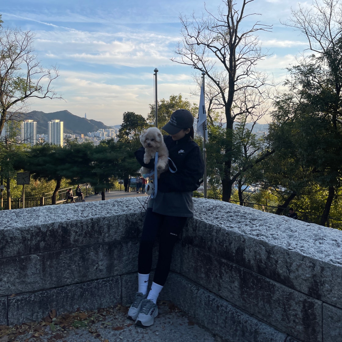 호카 호카 남성 본디 8 운동화 1123202-SHMS photo review