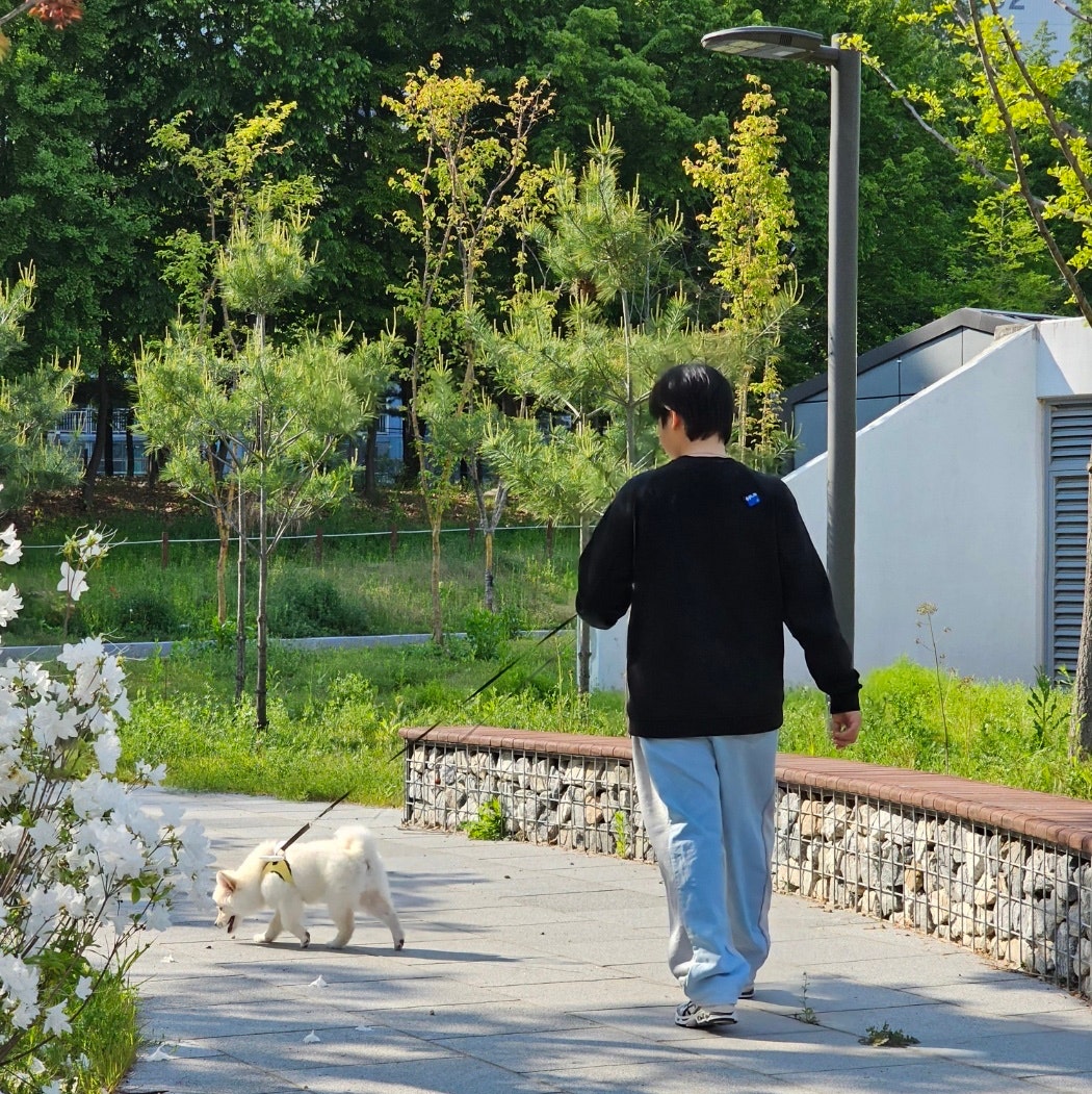 아식스 공용 젤 카야노 14 크림 블랙 1201A019-108 photo review