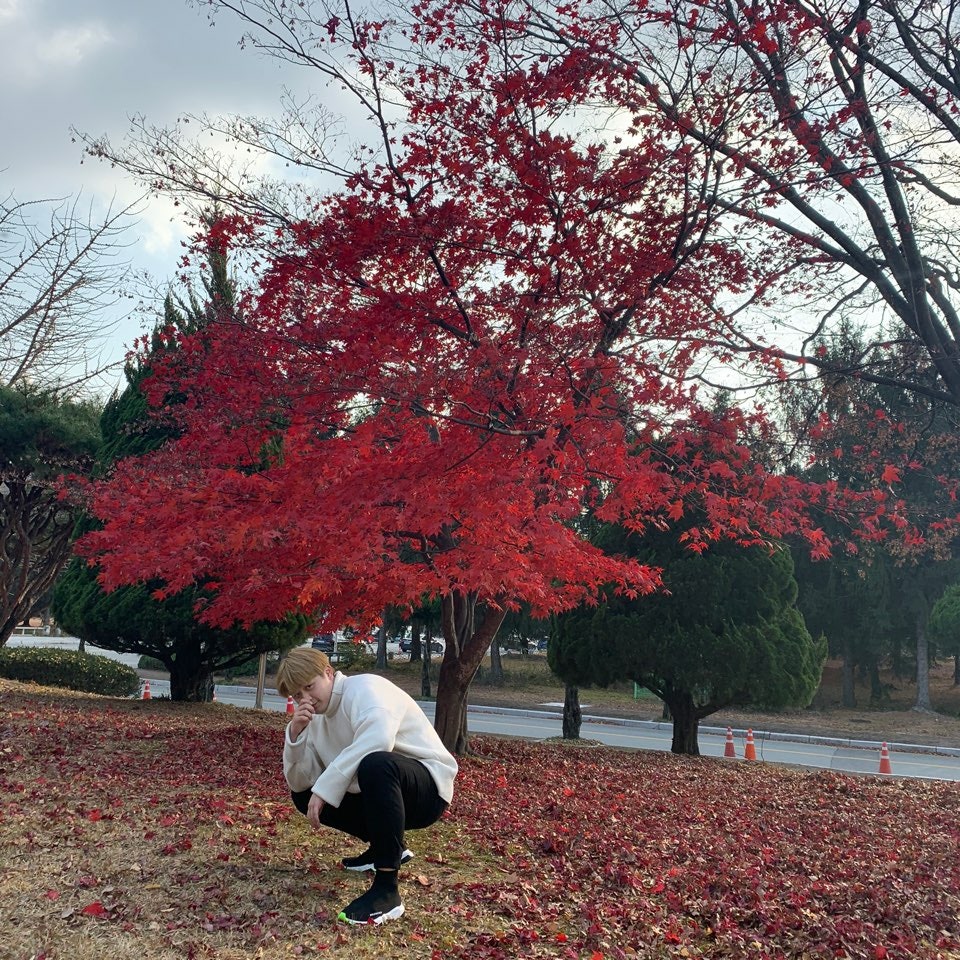 발렌시아가 스피드 트레이너 블랙 화이트 네온 2019 551185W05G01000 photo review