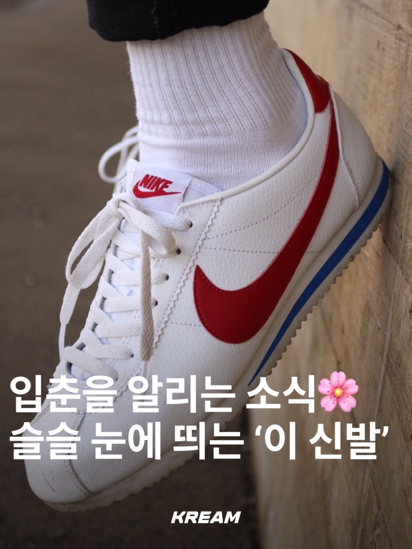 나이키 코르테즈 베이직 SL 포레스트 검프 904764-103 photo review