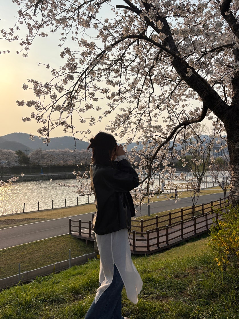 아디다스 삼바 오리지날 B75806 photo review