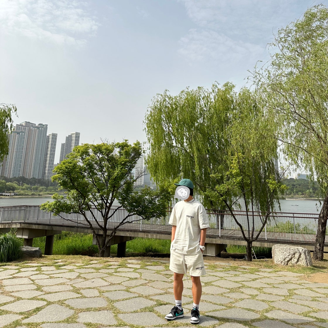 나이키 SB 덩크 로우 프로 클리어 제이드 BQ6817-009 photo review