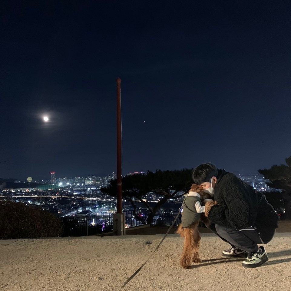 나이키 국내배송 나이키 에어 포스 1 로우 QS 블랙 화이트 CQ0492-001 photo review