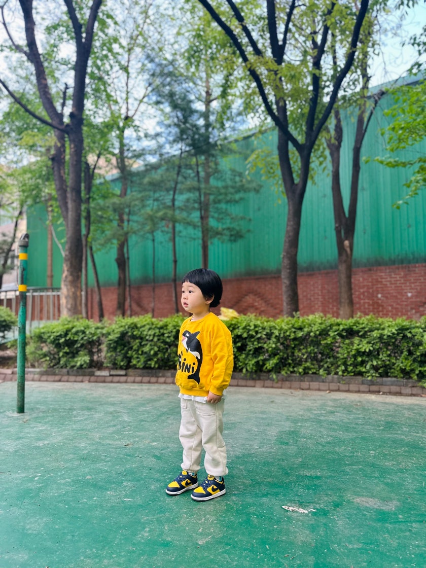 나이키 덩크 로우 레트로 바시티 메이즈 DD1391-700 photo review