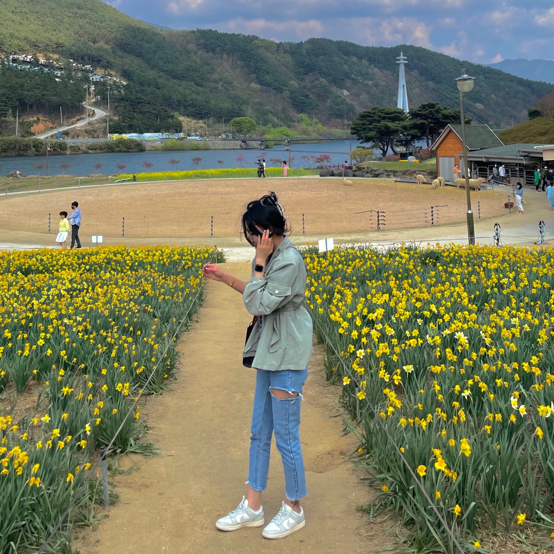 나이키 덩크 로우 사일 라이트본 그레이 에이징 DD1503-107 photo review