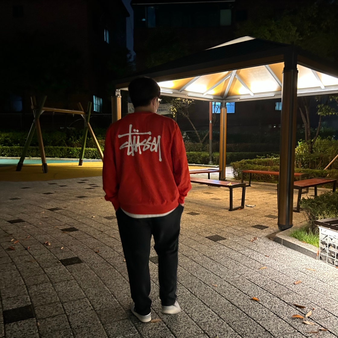 나이키 우먼스 덩크 로우 라이트 스모크 그레이 DD1503-117 photo review