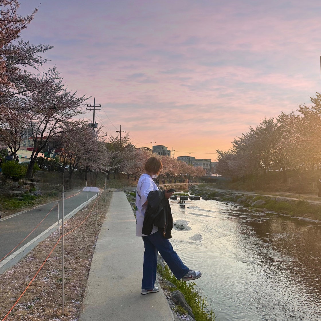 나이키 덩크 로우 울프 그레이 로즈우드 DD1503-122 photo review
