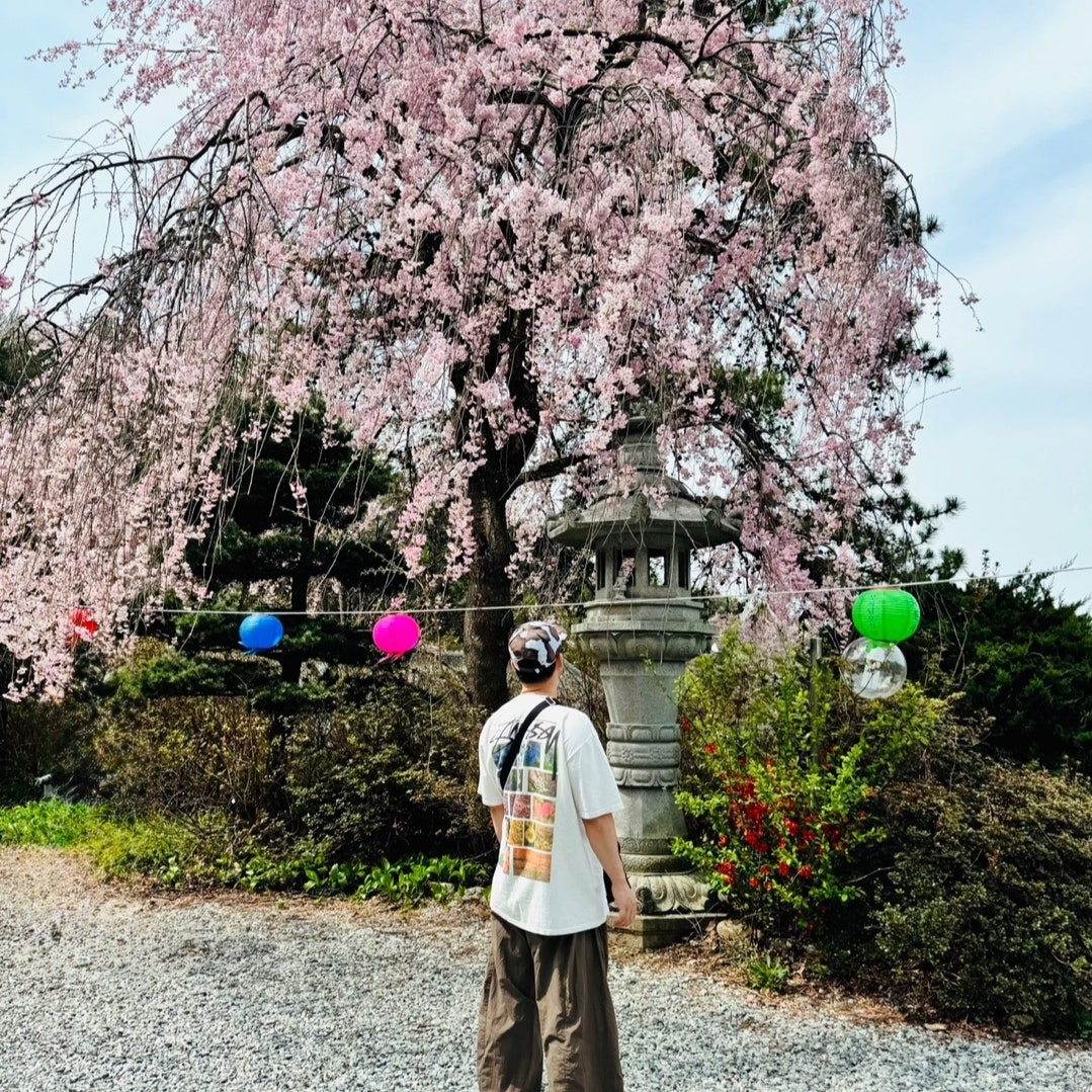 나이키 덩크 로우 SE 더스티 올리브 DH5360-300 photo review