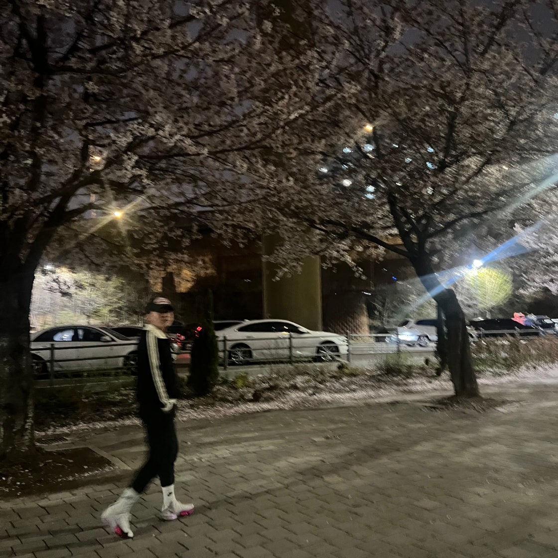 나이키 알파플라이 3 남성 런닝화 마라톤화 FD8311-100 photo review