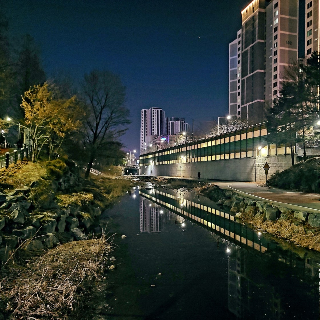 나이키 줌 보메로 5 우먼스 라이트 본 FJ7694-020 photo review