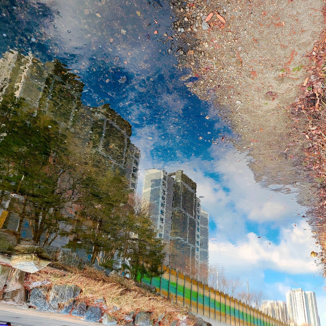 나이키 줌 보메로 5 우먼스 라이트 본 FJ7694-020 photo review