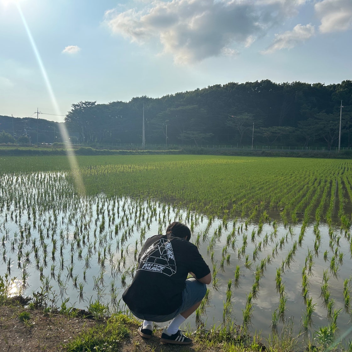 아디다스 x 웨일스 보너 포니 토널 삼바 IE0580 photo review