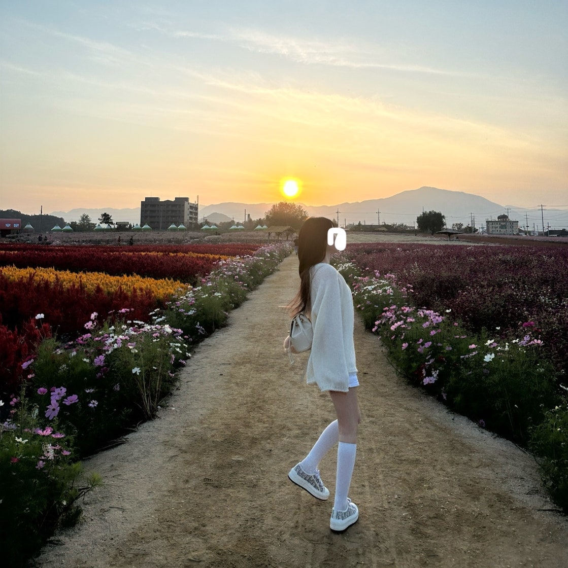 【키높이 5cm】디올 워크앤디올 스케이트화 photo review