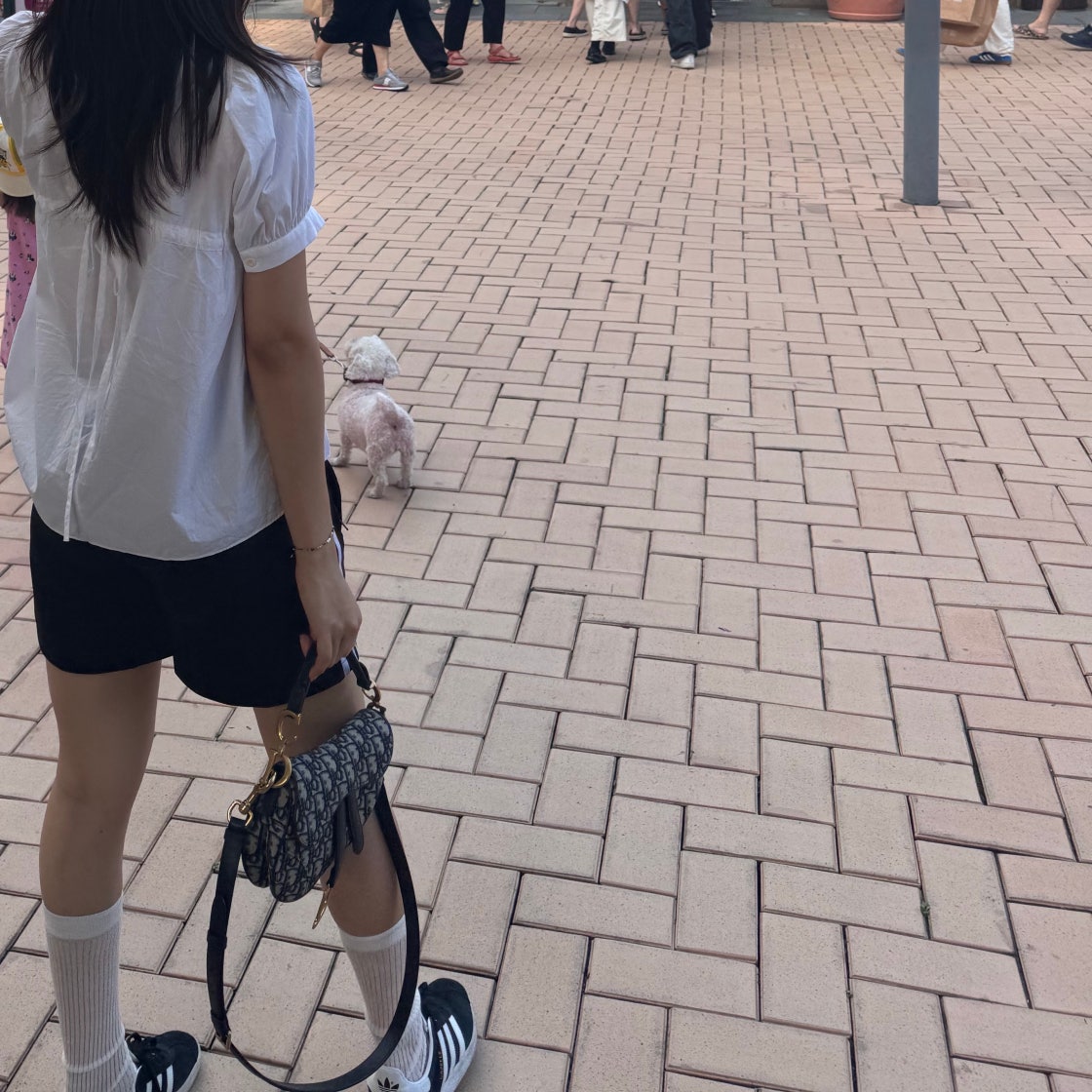 디올 스몰 새들 백 photo review