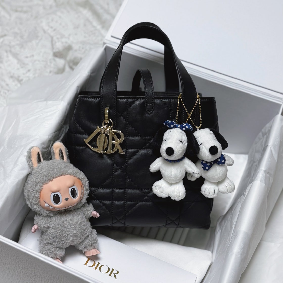 디올 Toujours 스몰 버티컬 토트백 (블랙) M2835OSNW-M900 photo review