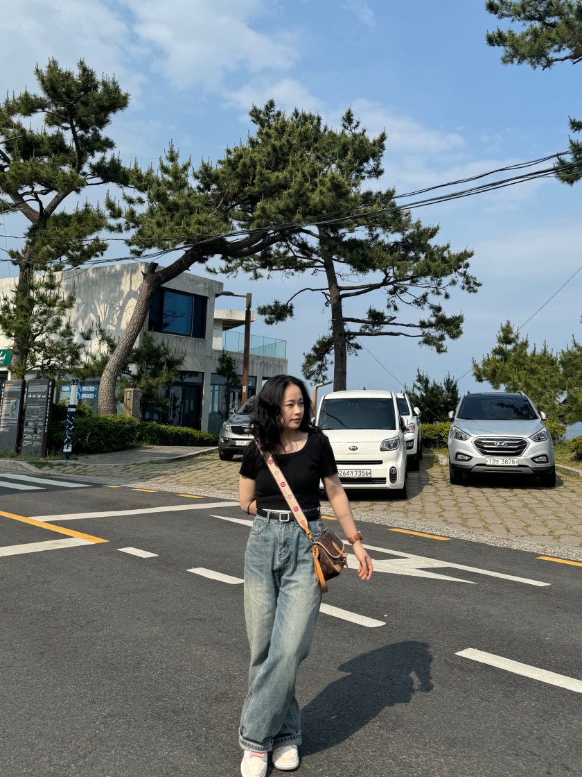 LOUIS VUITTON 다이안 클래식 휴대용 메신저 숄더백 M45985 photo review