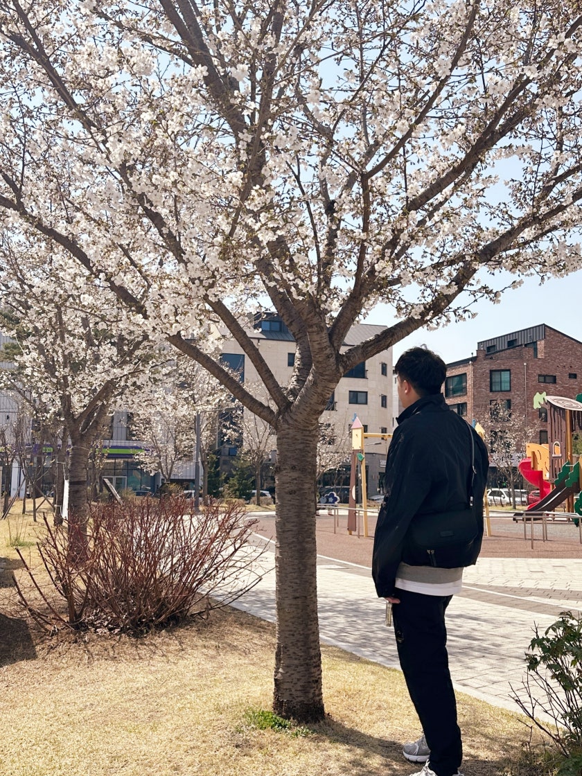 뉴발란스 530 운동화 발볼넓은런닝화 실버 메탈릭 MR530LG photo review