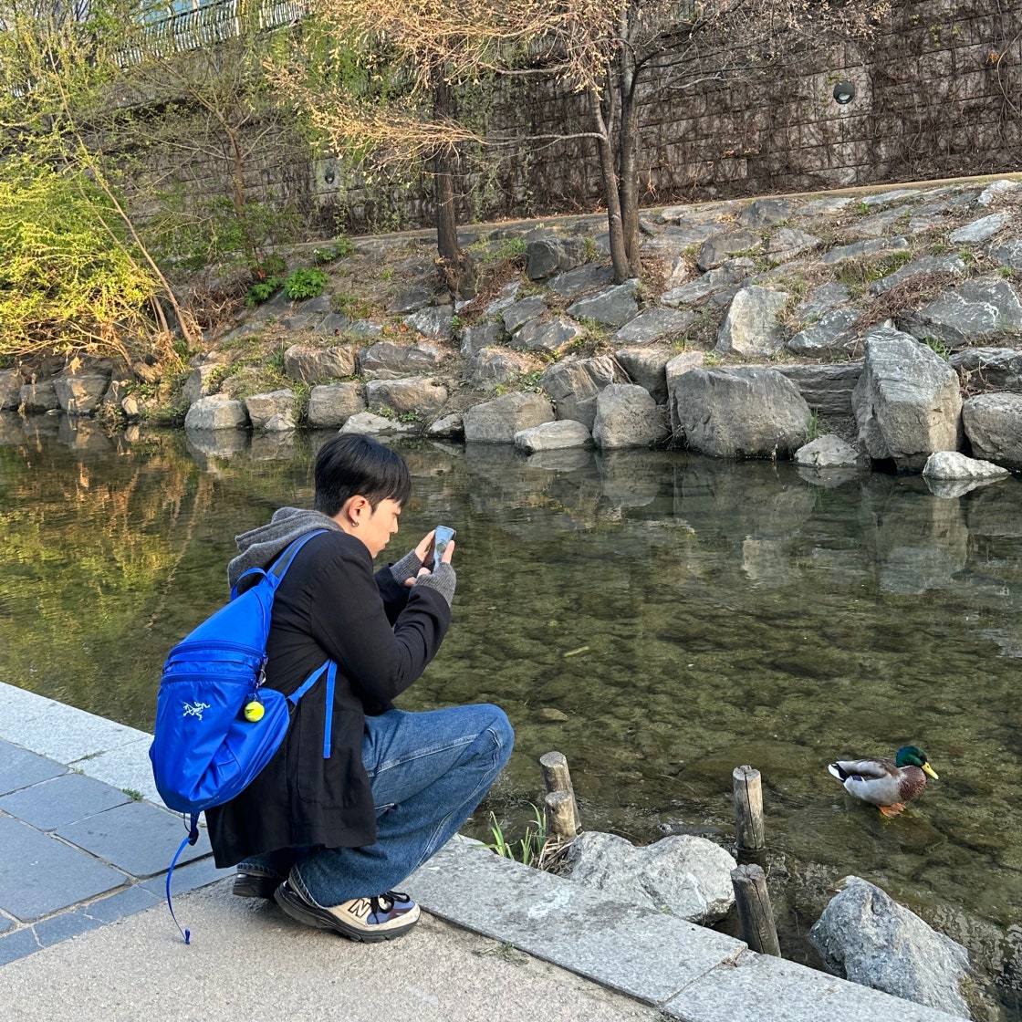 뉴발란스 x 에메 레온 도르 993 메이드 인 USA 토프 MR993ALL photo review