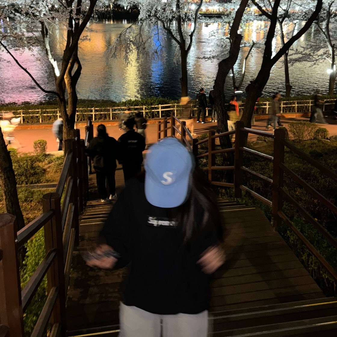디올 새들 로투스 지갑 블루 photo review