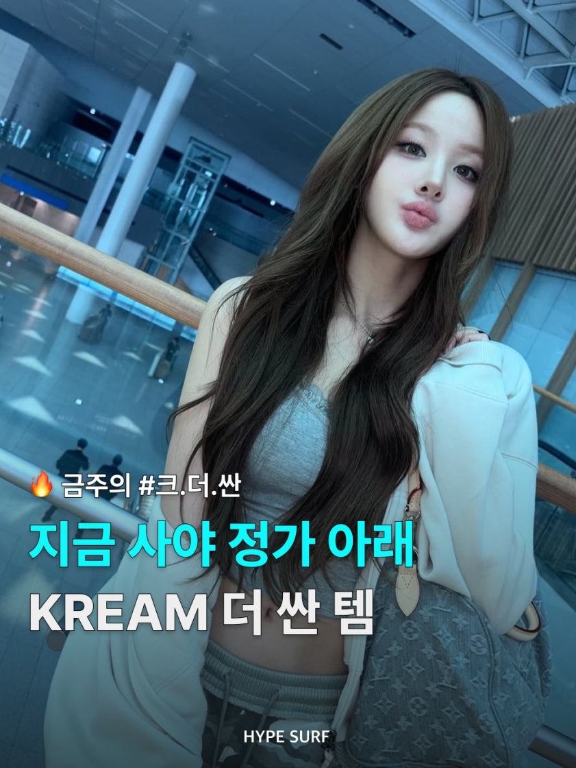 디올 새들 로투스 지갑 블루 photo review