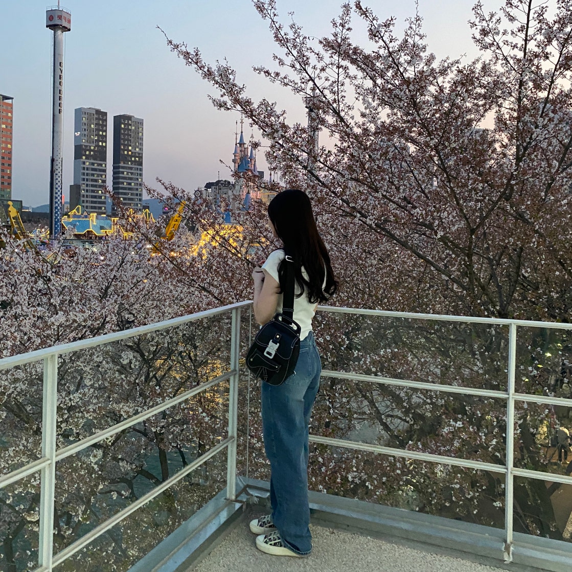 디올 새들 로투스 지갑 블루 photo review