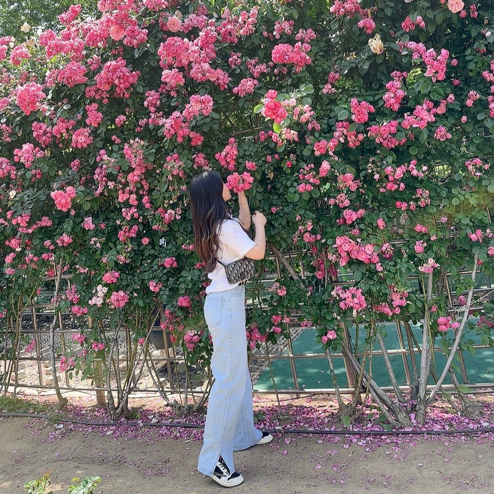 디올 새들 벨트 파우치 블루 디올 오블리크 자카드 S5619CTZQ-M928 #17*3.5*10cm photo review