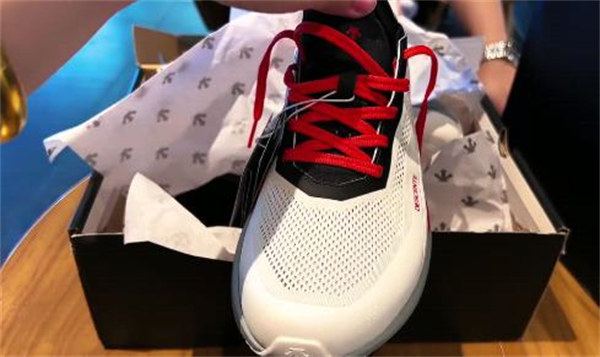 데상트 에너자이트 플루이드 2.0 충격 흡수 통기성 로우컷 러닝화 D4231RRN29-LG photo review